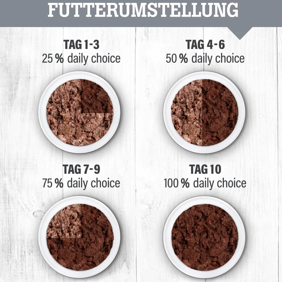 daily choice mit Lamm Nassfutter 6 x 400 g