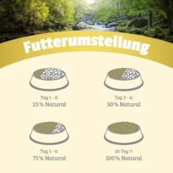 Natural Probe-Paket Hund Nassfutter 6 x 800 g