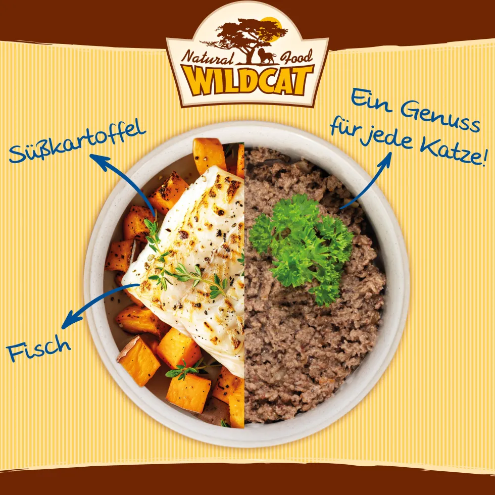 Wildcat Adult Andhra Fisch & Süßkartoffel Nassfutter 7 x 100 g