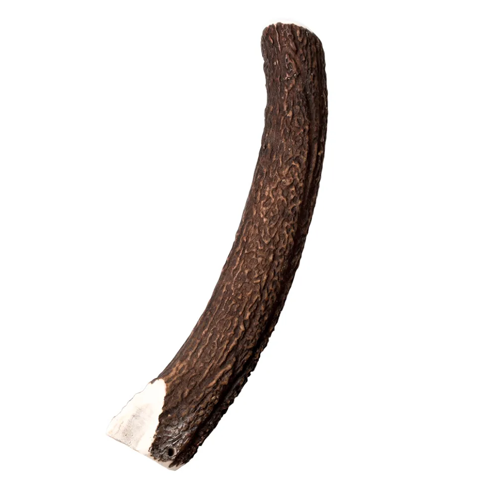 Wildes Land Geweihsnack Hirschgeweih Halb Snack XL