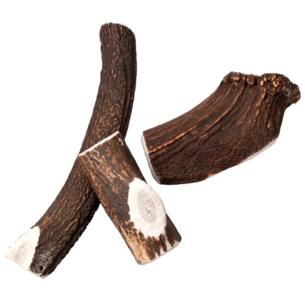 Wildes Land Geweihsnack Hirschgeweih Halb Snack XL