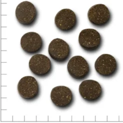 Wildes Land 2in1 Snack mit Benefit Belly - Für Magen & Verdauung Snack 300 g