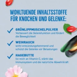 Wildes Land 2in1 Snack mit Benefit Mobility - Für Gelenke & Knochen Snack 300 g