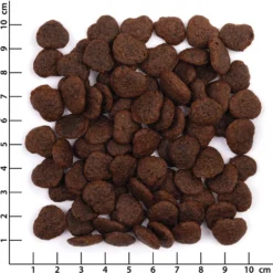 Wildes Land Knuspersnack Lamm mit Apfel Snack 50 g