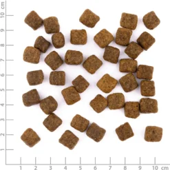 Wildes Land Pawprint Insect Adult Hermetia Larve Trockenfutter 10 kg