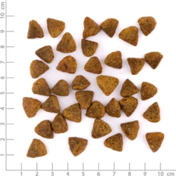 Wildes Land PawPrint Veggie Adult Kürbis & Karotte Trockenfutter 10 kg