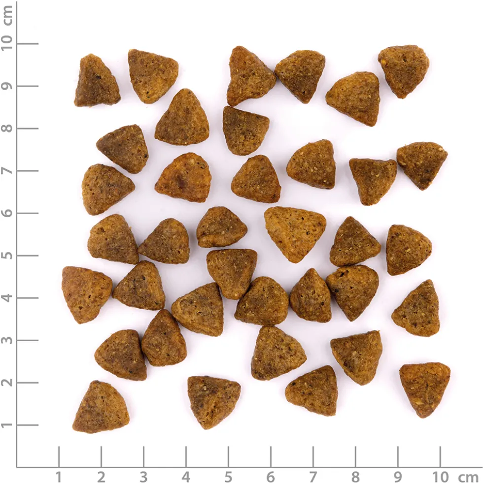Wildes Land PawPrint Veggie Adult Kürbis & Karotte Trockenfutter 10 kg