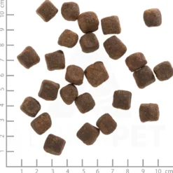 Wolfsblut Adult Dark Forest Trockenfutter 12,5 kg