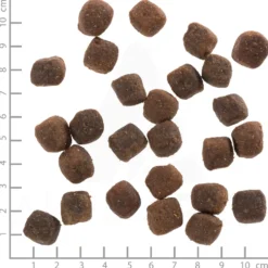 Wolfsblut Adult Deep Glade Trockenfutter 12,5 kg