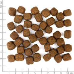 Wolfsblut Adult Grey Peak Trockenfutter 12,5 kg