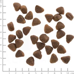 Wolfsblut Adult Hunters Pride Trockenfutter 12,5 kg