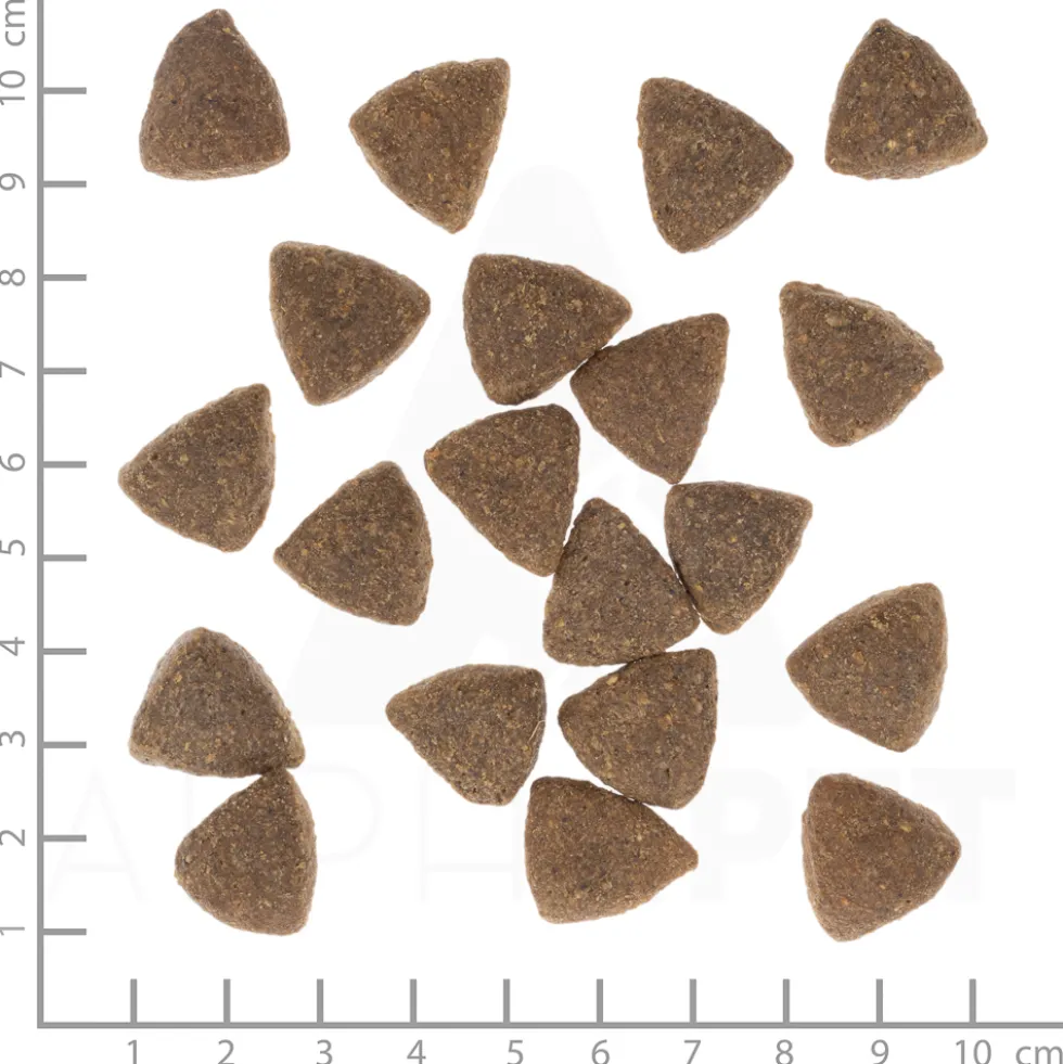 Wolfsblut Large Breed Dark Forest Trockenfutter 12,5 kg