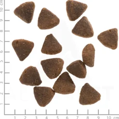 Wolfsblut Large Breed Puppy Wild Duck Trockenfutter 12,5 kg