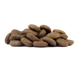 Wolfsblut Large Breed Range Lamb Trockenfutter 12,5 kg