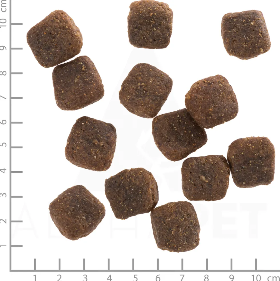 Wolfsblut Large Breed Wild Duck Trockenfutter 12,5 kg
