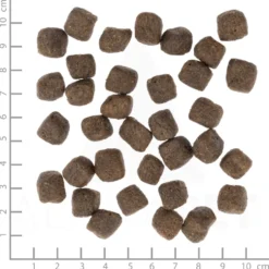 Wolfsblut Light Dark Forest Trockenfutter 12,5 kg