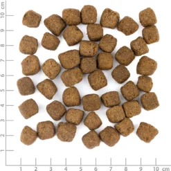 Wolfsblut Limited Ingredients Adult Dark Forest Trockenfutter 1 kg