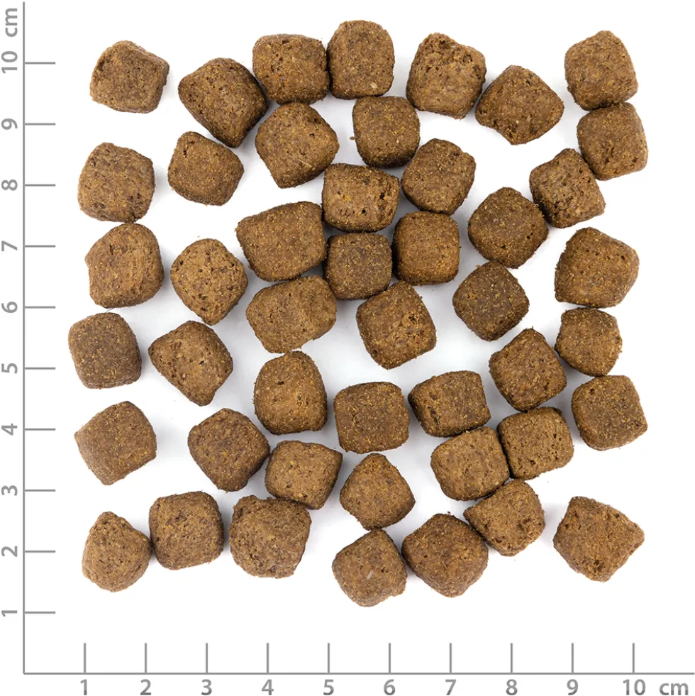 Wolfsblut Limited Ingredients Adult Dark Forest Trockenfutter 1 kg