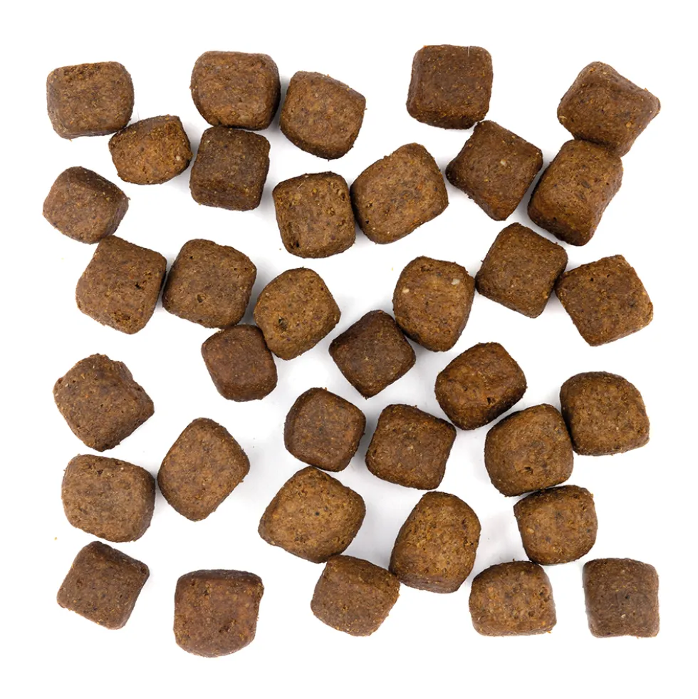 Wolfsblut Limited Ingredients Adult Cold River Trockenfutter 1 kg