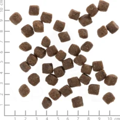 Wolfsblut Puppy Black Bird Trockenfutter 12,5 kg