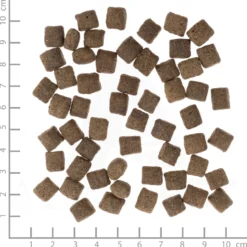Wolfsblut Puppy Dark Forest Trockenfutter 12,5 kg