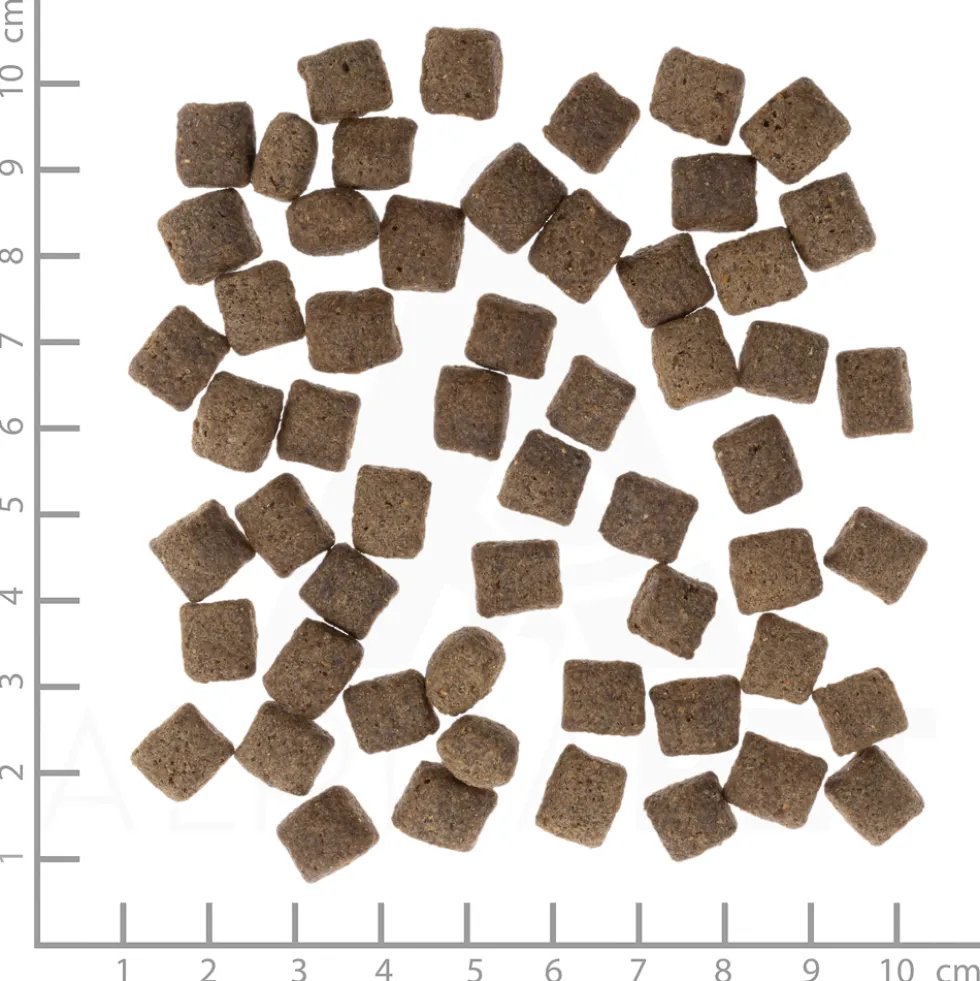 Wolfsblut Puppy Dark Forest Trockenfutter 12,5 kg