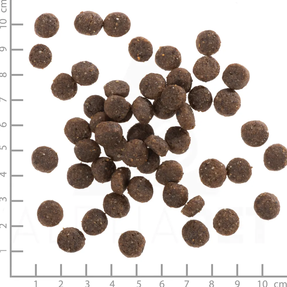 Wolfsblut Puppy Range Lamb Trockenfutter 12,5 kg