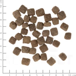 Wolfsblut Senior Dark Forest Trockenfutter 12,5 kg