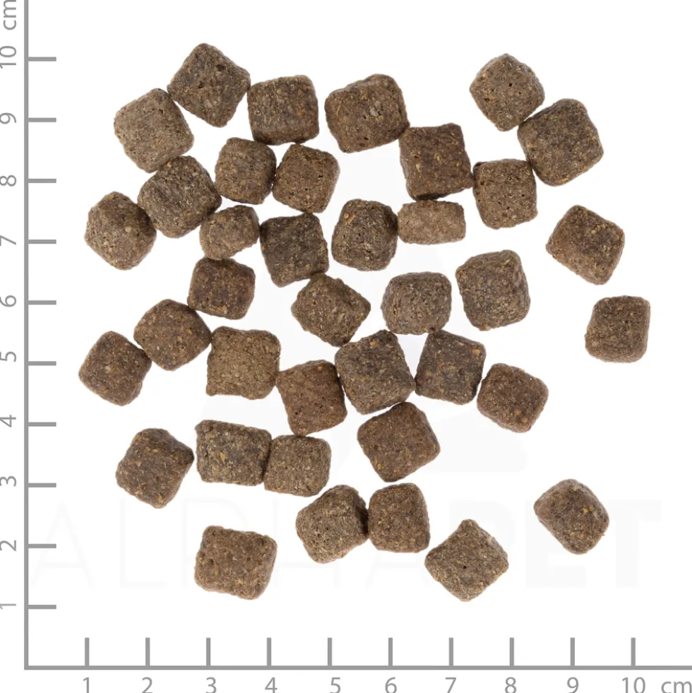 Wolfsblut Senior Dark Forest Trockenfutter 12,5 kg