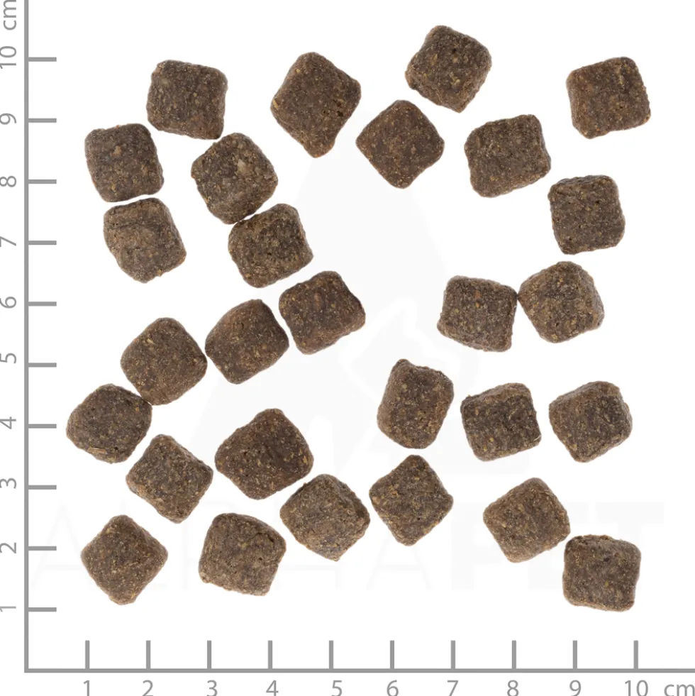 Wolfsblut Small Breed Dark Forest Trockenfutter 7,5 kg