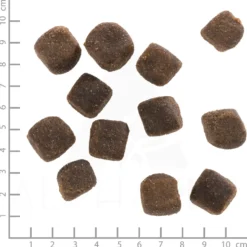 Wolfsblut Squashies Dark Forest Snack 300 g
