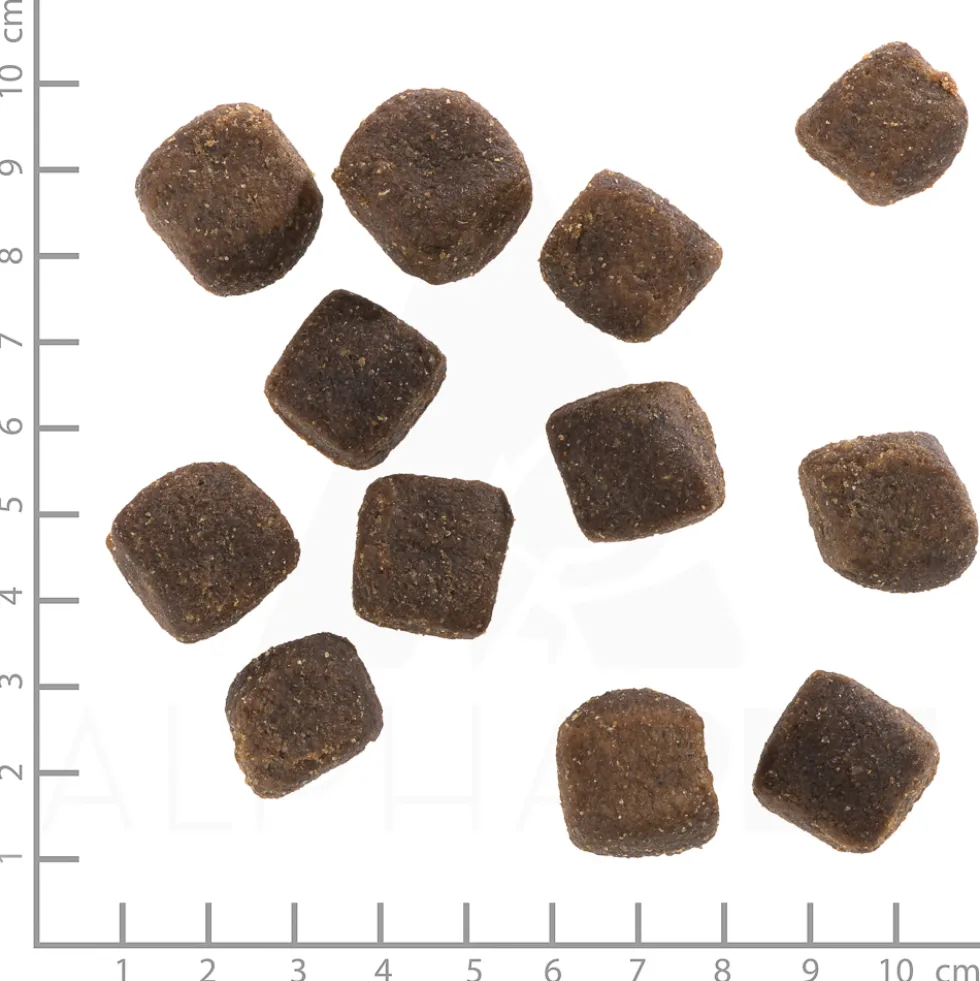 Wolfsblut Squashies Dark Forest Snack 300 g