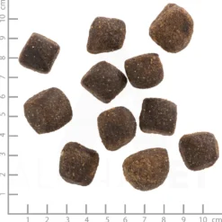 Wolfsblut Squashies Green Valley Snack 300 g