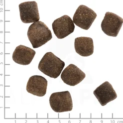 Wolfsblut Squashies Wide Plain Snack 300 g